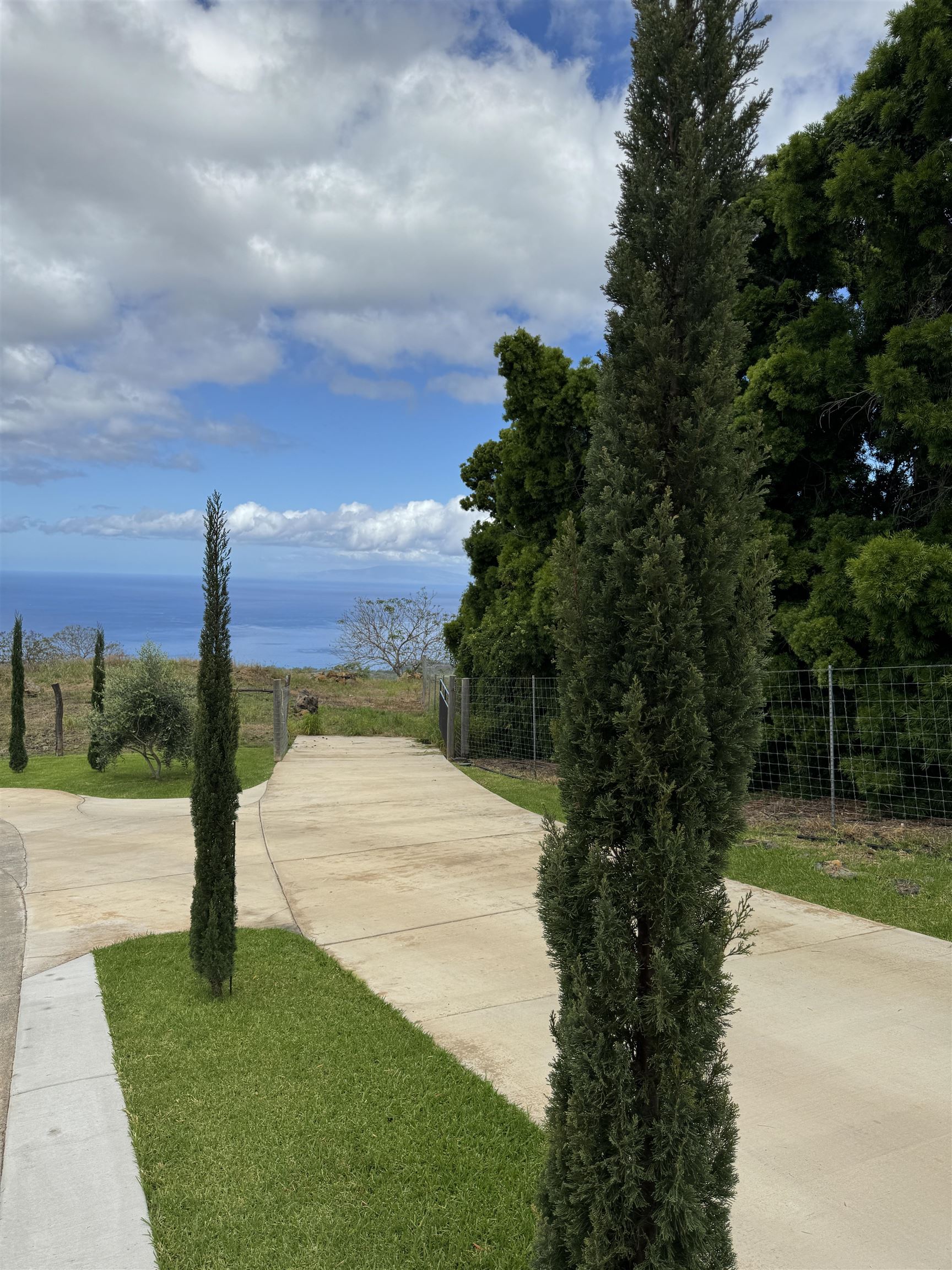 1521 Kanaio-Kalama Park Road, Unit LOT A Kula, HI 96790 - Photo 12 of 29 a view of a yard with palm trees