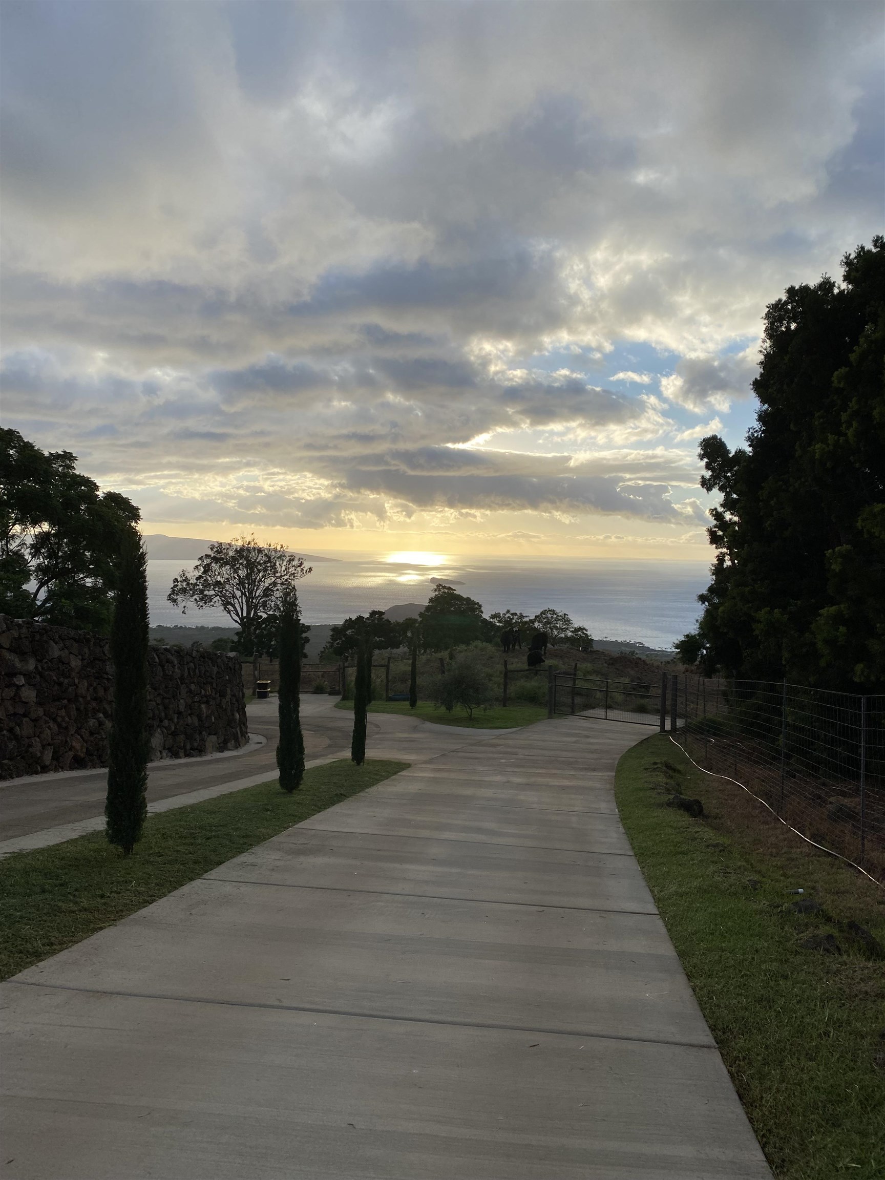 1521 Kanaio-Kalama Park Road, Unit LOT A Kula, HI 96790 - Photo 13 of 29 a view of street with view of trees