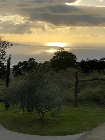 a view of mountain view with lots of trees