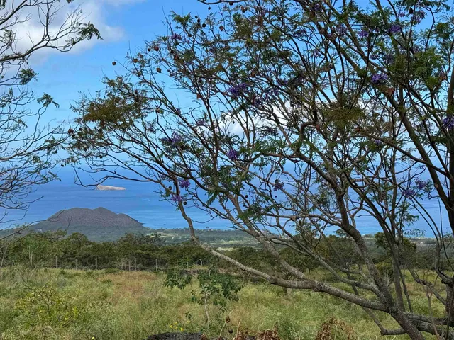 a view of ocean view