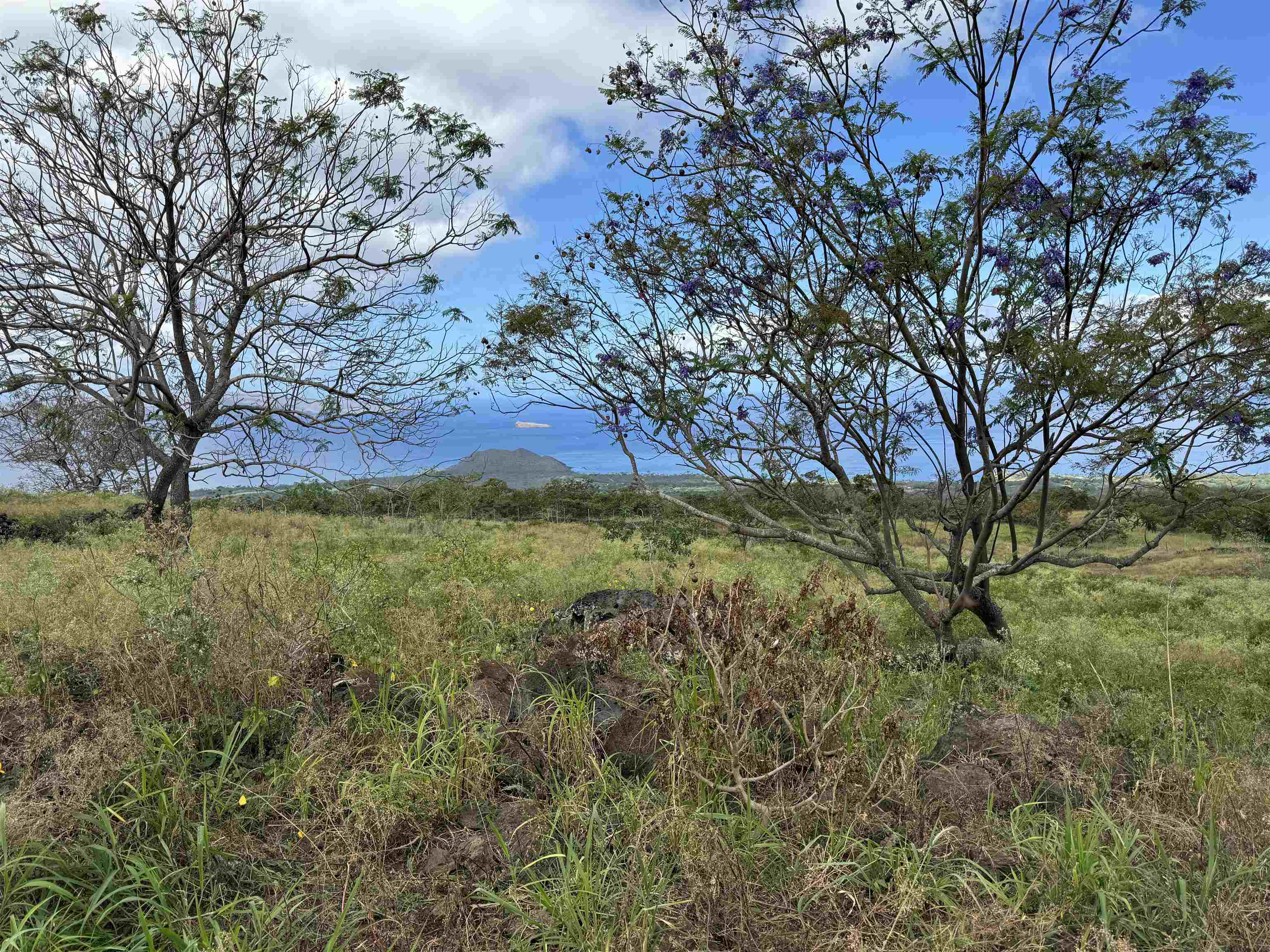 1521 Kanaio-Kalama Park Road, Unit LOT A Kula, HI 96790 - Photo 16 of 29 a view of ocean view