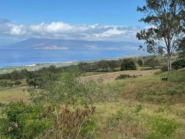 a view of an ocean beach