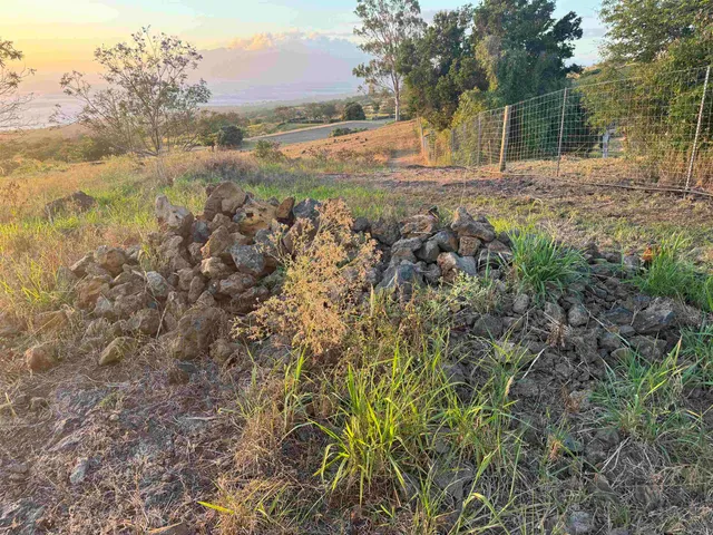 a view of outdoor space yard and entertaining space