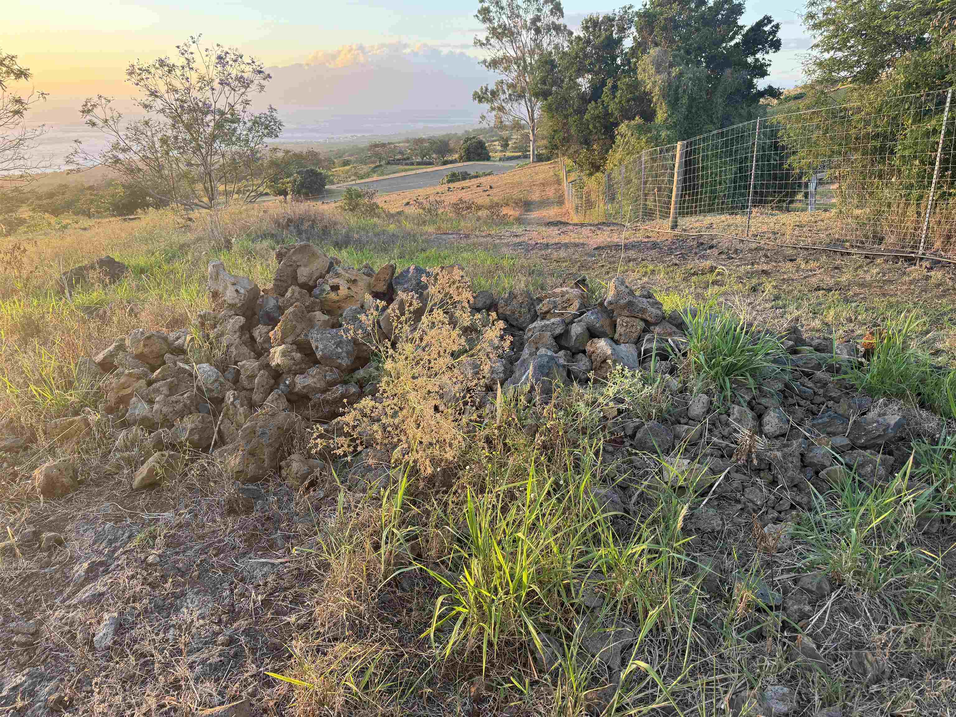 1521 Kanaio-Kalama Park Road, Unit LOT A Kula, HI 96790 - Photo 26 of 29 a view of beach and yard