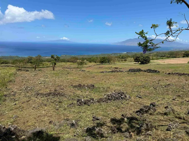 a view of a lake with a mountain