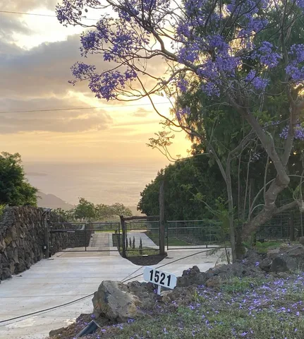 a view of a backyard with wooden fence