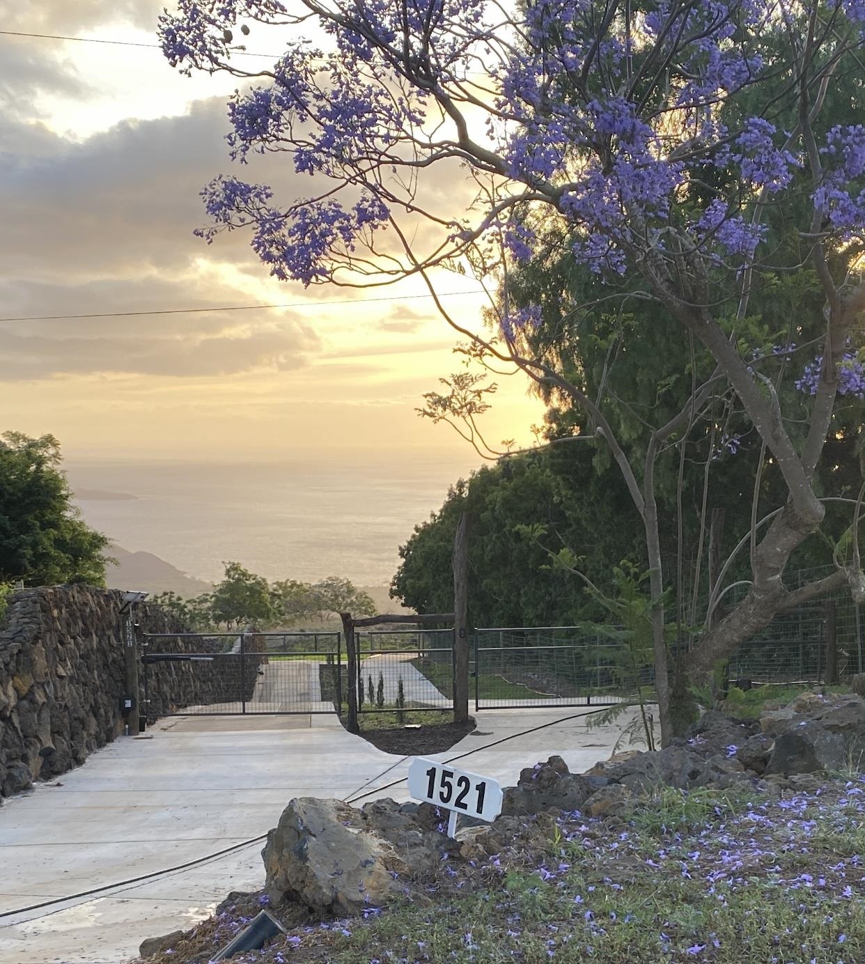 1521 Kanaio-Kalama Park Road, Unit LOT A Kula, HI 96790 - Photo 4 of 29 a view of a backyard with wooden fence