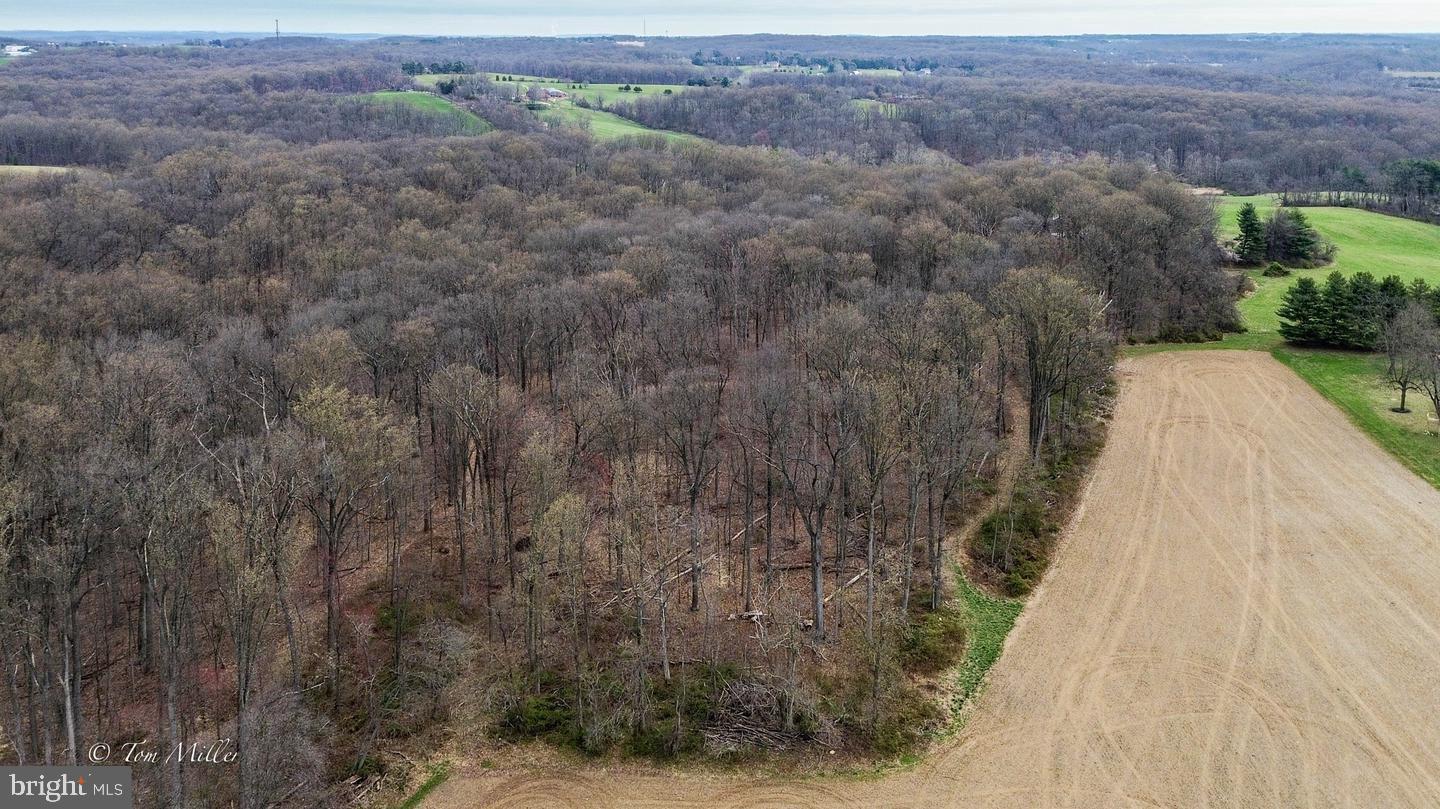 Troyer Road Monkton, MD 21111 - Photo 3 of 7 5 wooded acres rear of lot