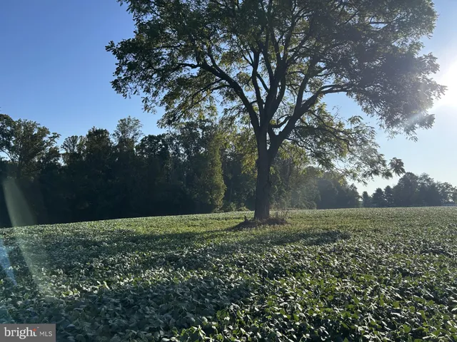 $1,275,000 | Troyer Road, Monkton, MD 21111