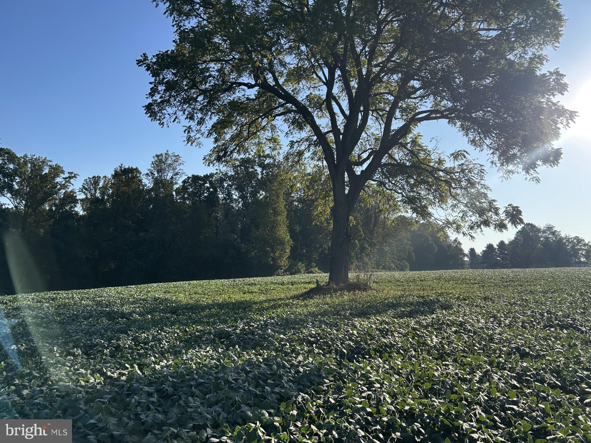 Troyer Road Monkton, MD 21111 - Photo 4 of 7