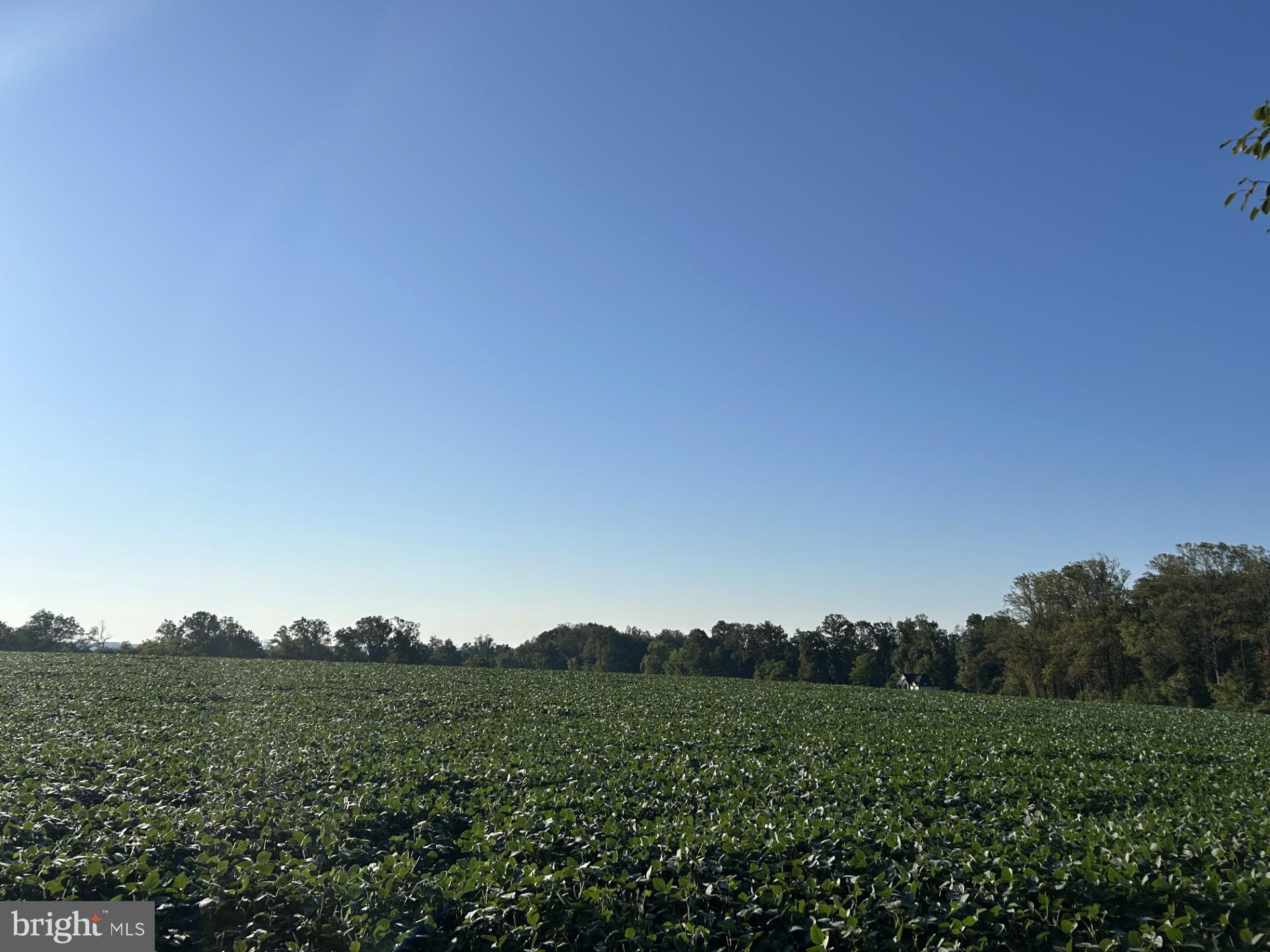 Troyer Road Monkton, MD 21111 - Photo 6 of 7