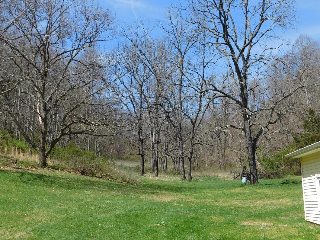 2544 Georges Run Road Shawsville, VA 24162 - Photo 22 of 28 george land 2