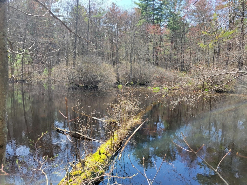 Lot 3 Daniels Road Charlton, MA 01507 - Photo 4 of 4