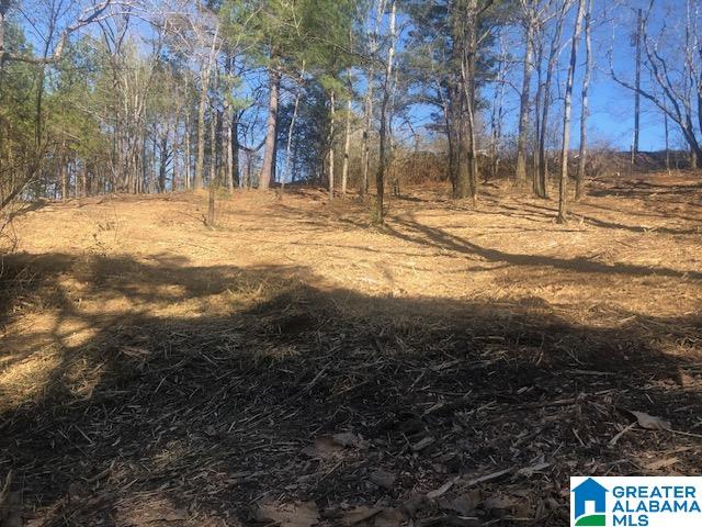 0 Shady Point Road, Unit 18 18 & 19 Locust Fork, AL 35097 - Photo 16 of 26