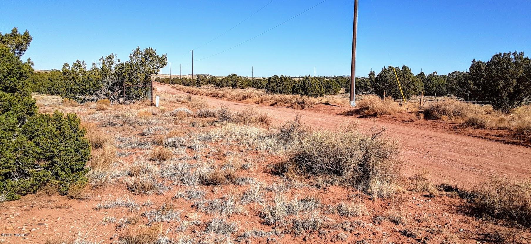 13d Bum Heel Ranch Road Heber, AZ 85928 - Photo 2 of 7 Gallery Image 2
