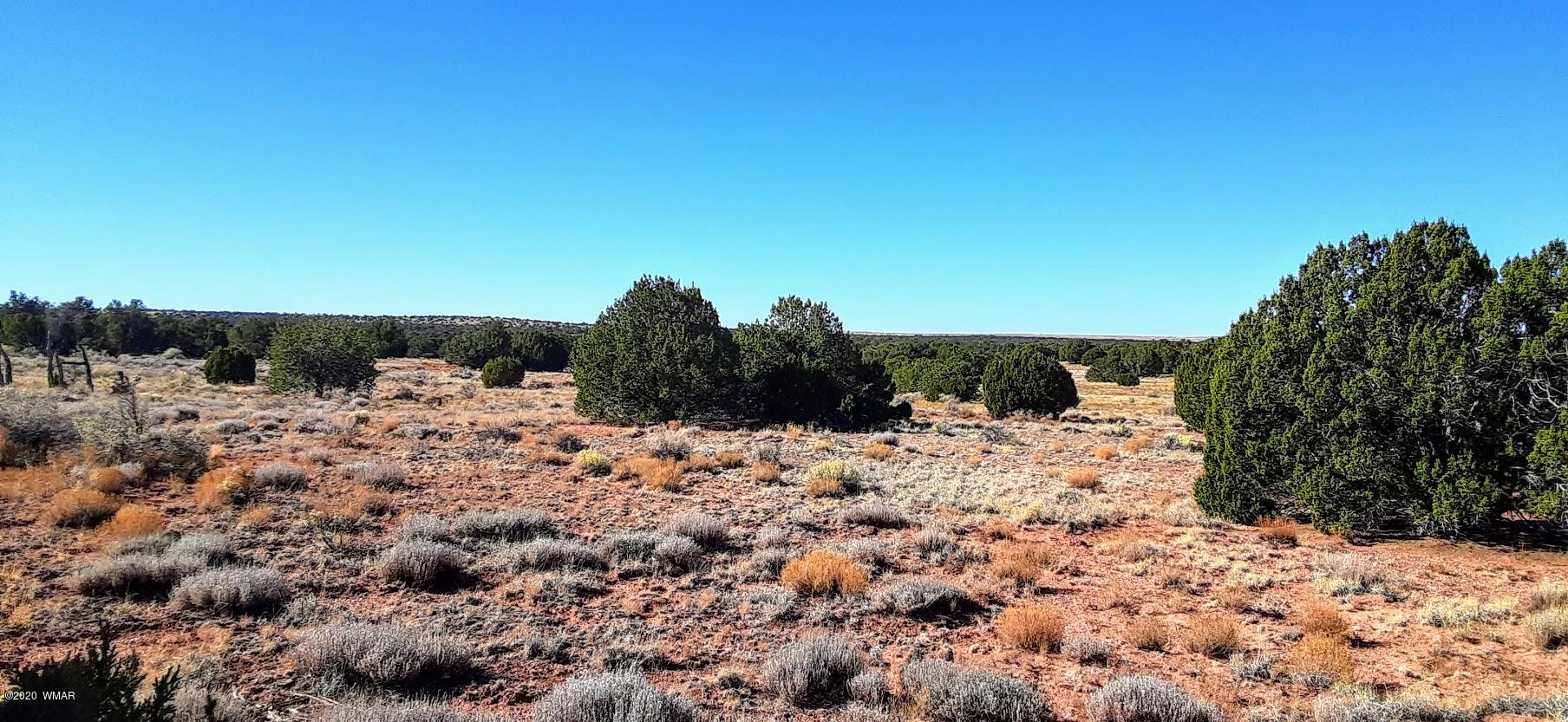 13d Bum Heel Ranch Road Heber, AZ 85928 - Photo 3 of 7 Gallery Image 3