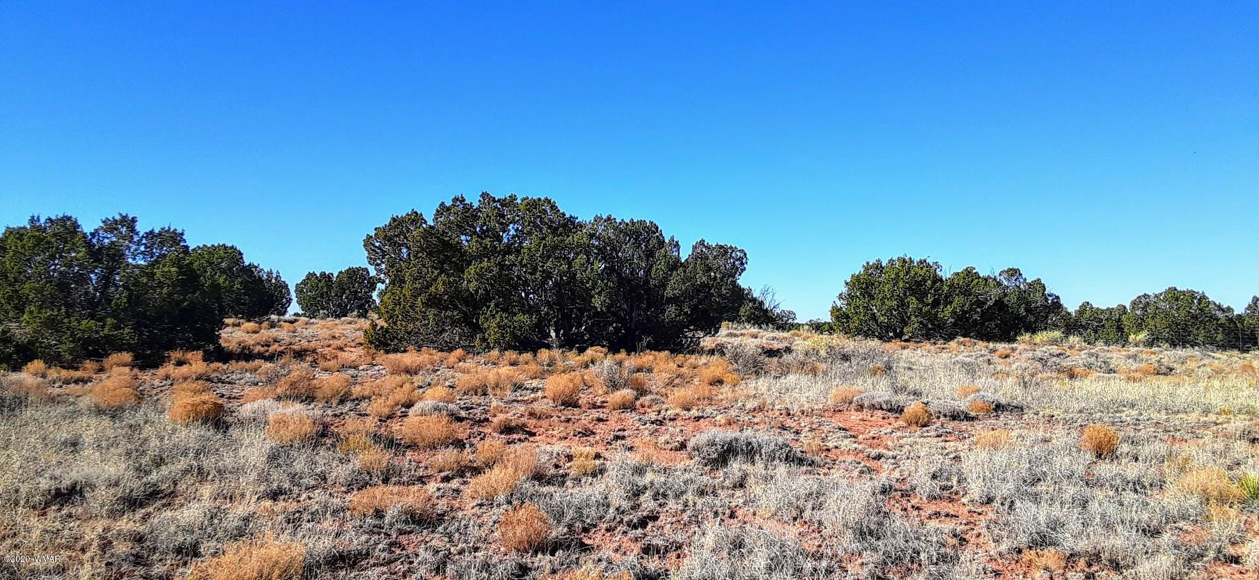 13d Bum Heel Ranch Road Heber, AZ 85928 - Photo 7 of 7 Gallery Image 7