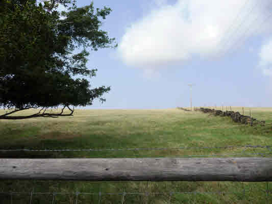 29 South Point Road Captain Cook, HI 96704 - Photo 1 of 9 Gallery Image 1