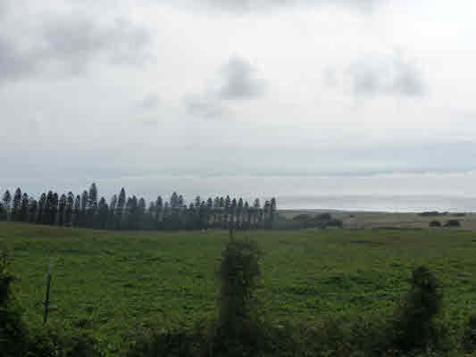 29 South Point Road Captain Cook, HI 96704 - Photo 2 of 9 Gallery Image 2