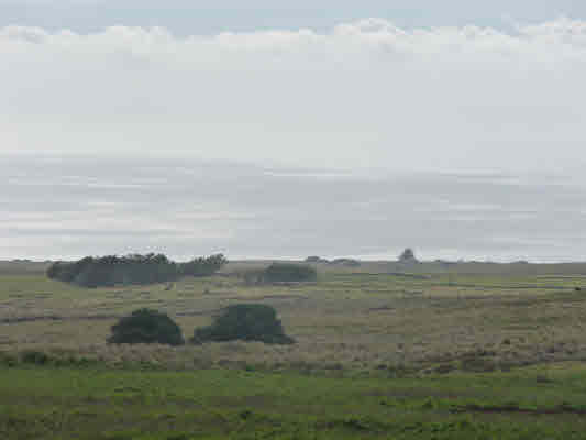 29 South Point Road Captain Cook, HI 96704 - Photo 4 of 9 Gallery Image 4
