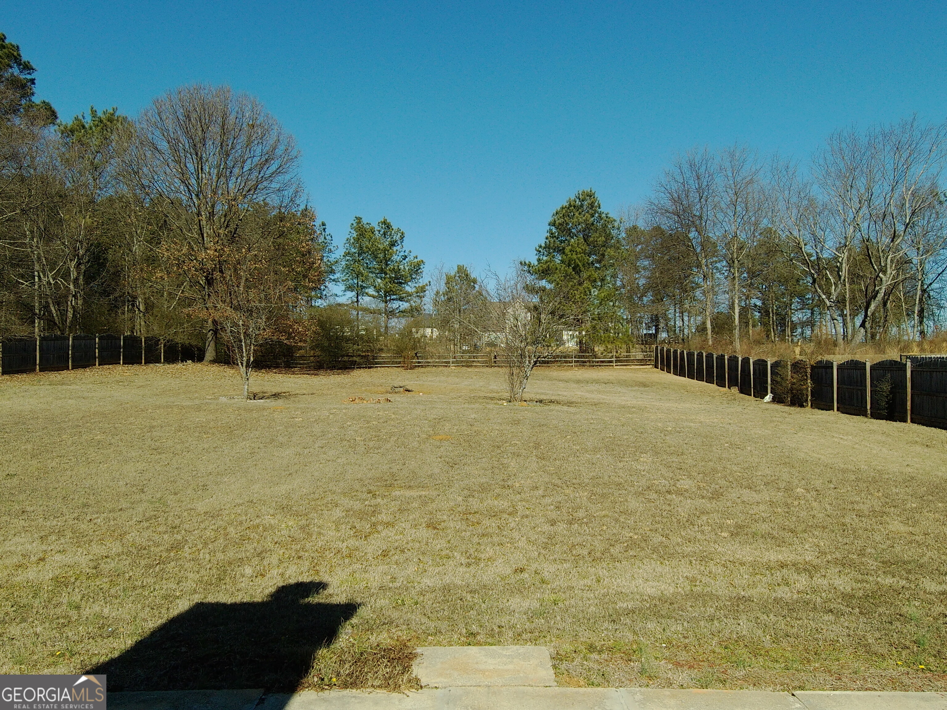 907 Downing Drive Bethlehem, GA 30620 - Photo 8 of 26 a view of outdoor space with trees