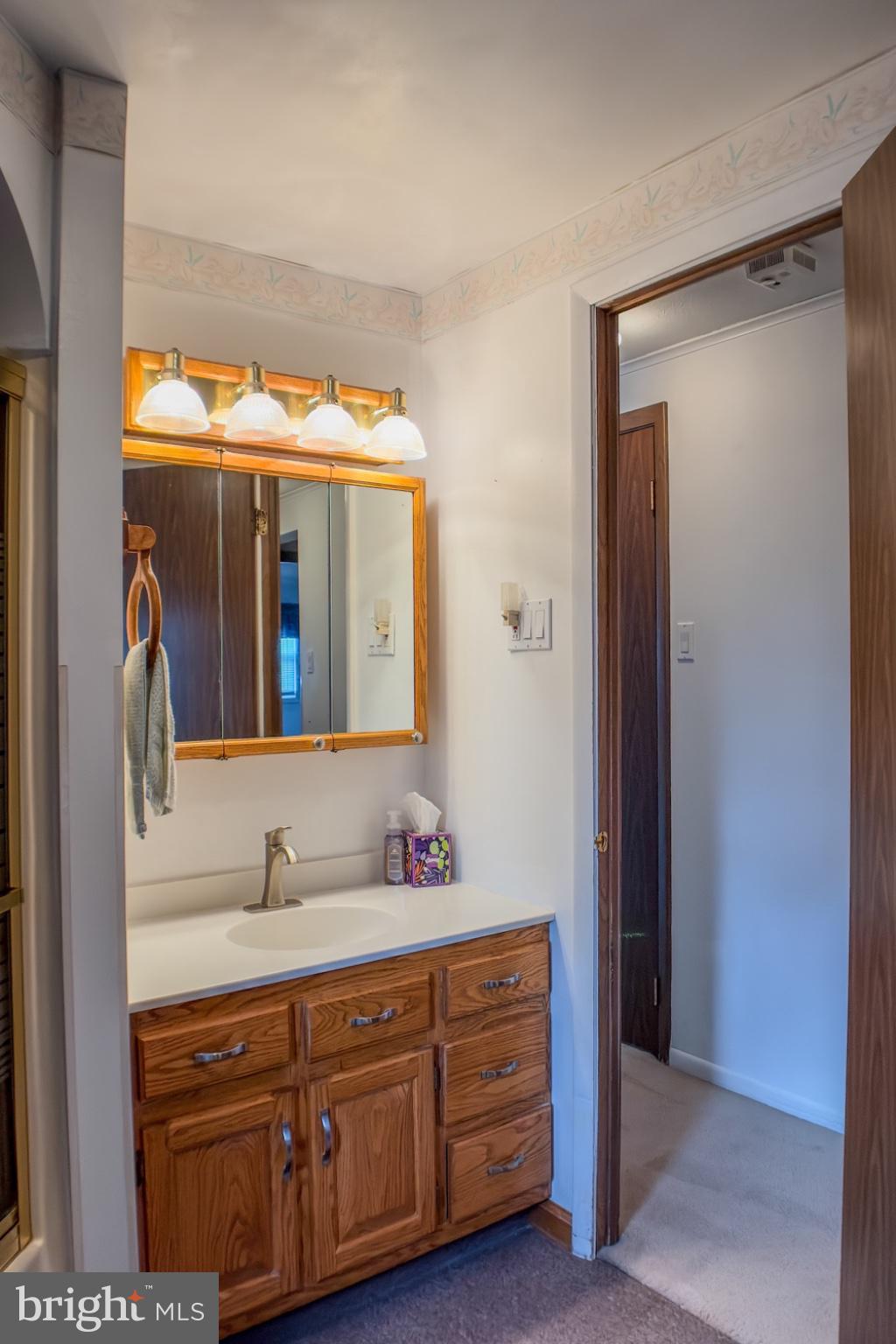 467 Swanger Road New Columbia, PA 17856 - Photo 25 of 45 a bathroom with a double vanity sink and mirror