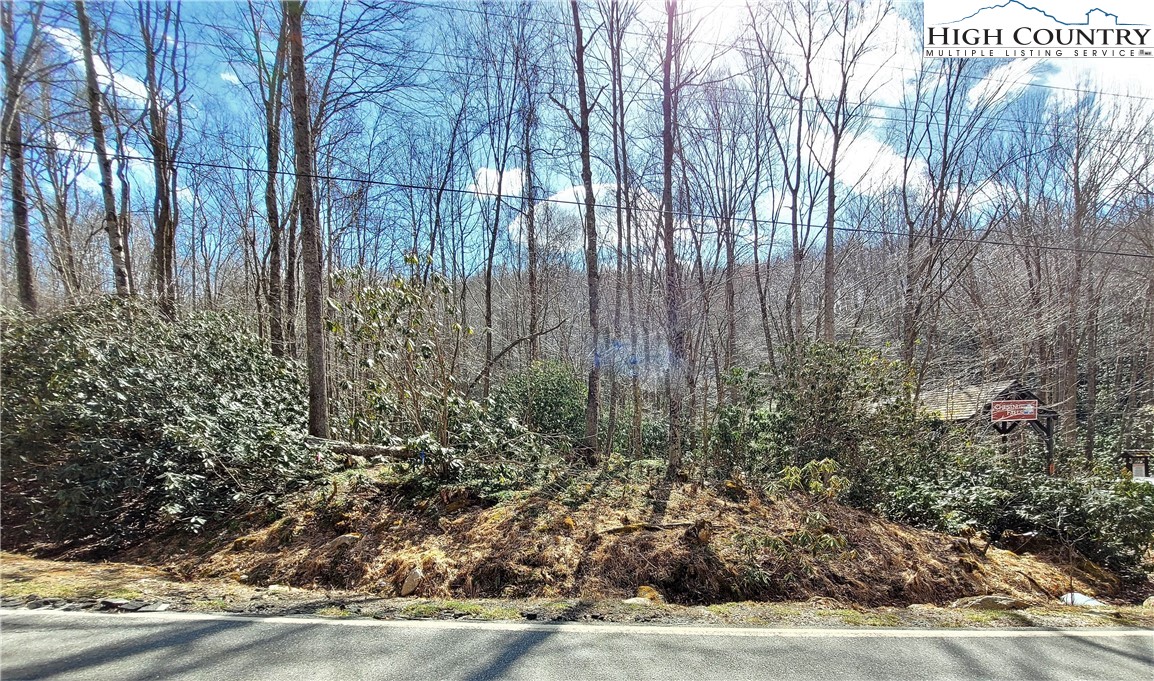 Pinnacle Ridge Beech Mountain, NC 28604 - Photo 1 of 18 a view of outdoor space and garden
