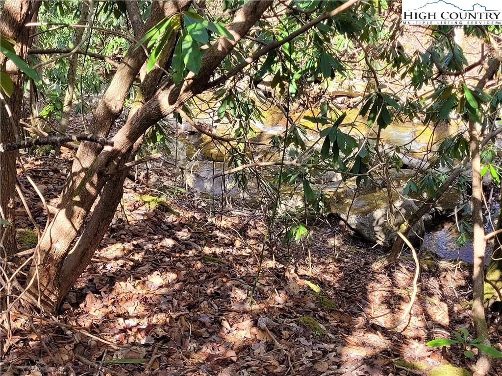Pinnacle Ridge Beech Mountain, NC 28604 - Photo 11 of 18 a view of tree