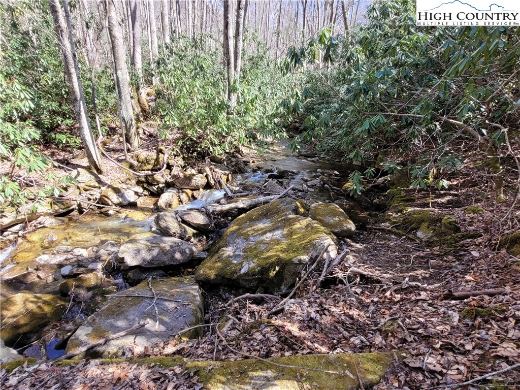 Pinnacle Ridge Beech Mountain, NC 28604 - Photo 12 of 18