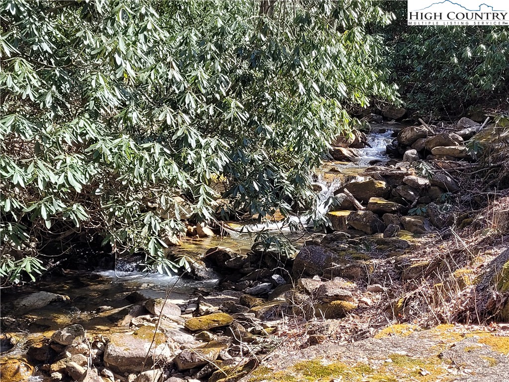 Pinnacle Ridge Beech Mountain, NC 28604 - Photo 14 of 18 a view of tree