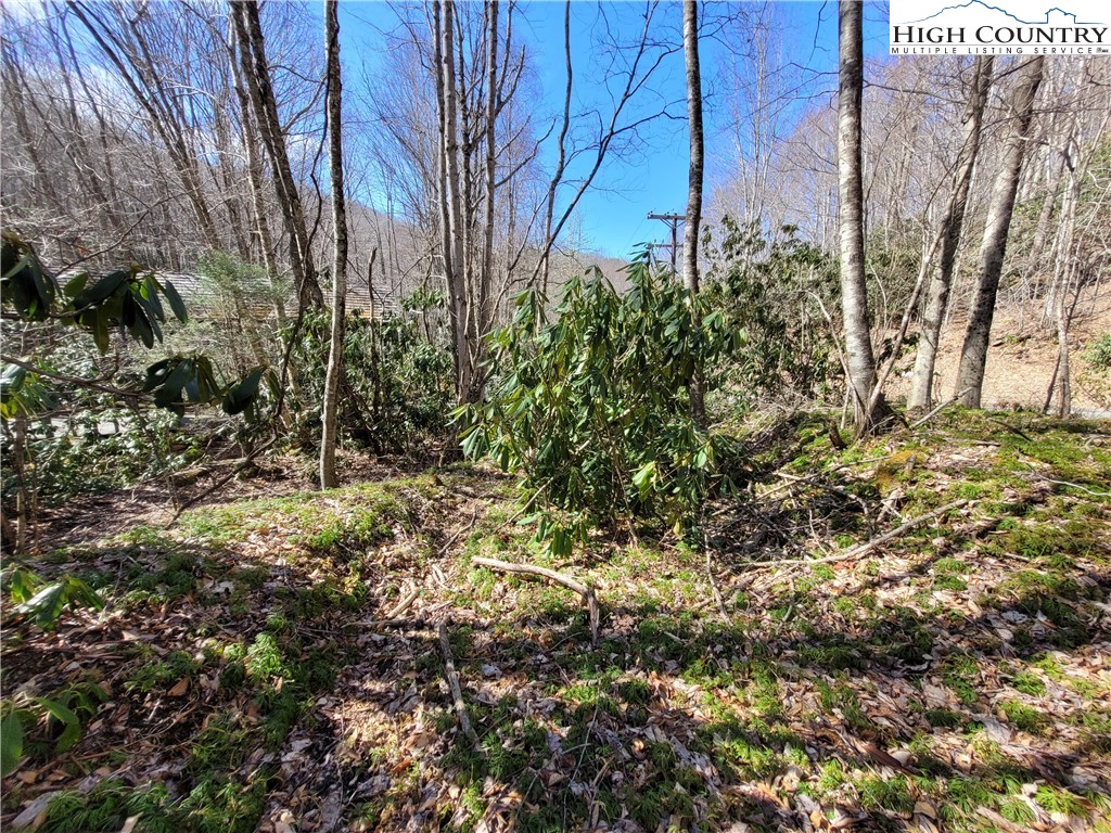 Pinnacle Ridge Beech Mountain, NC 28604 - Photo 17 of 18 a view of a yard with plants and trees