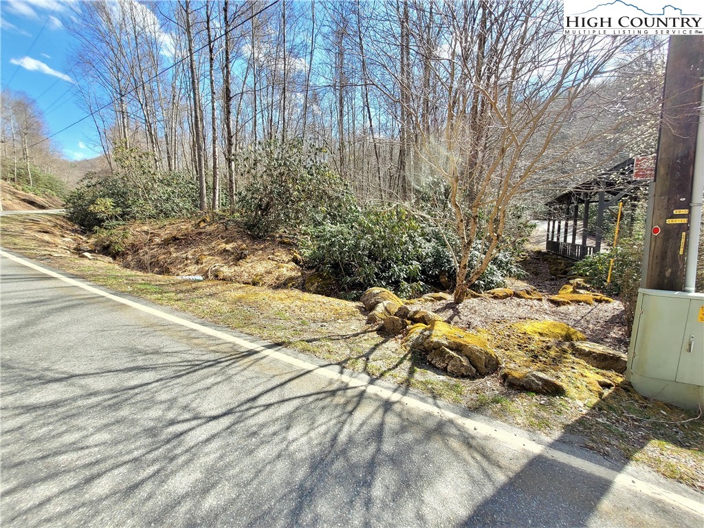 Pinnacle Ridge Beech Mountain, NC 28604 - Photo 2 of 18 a view of yard along with trees