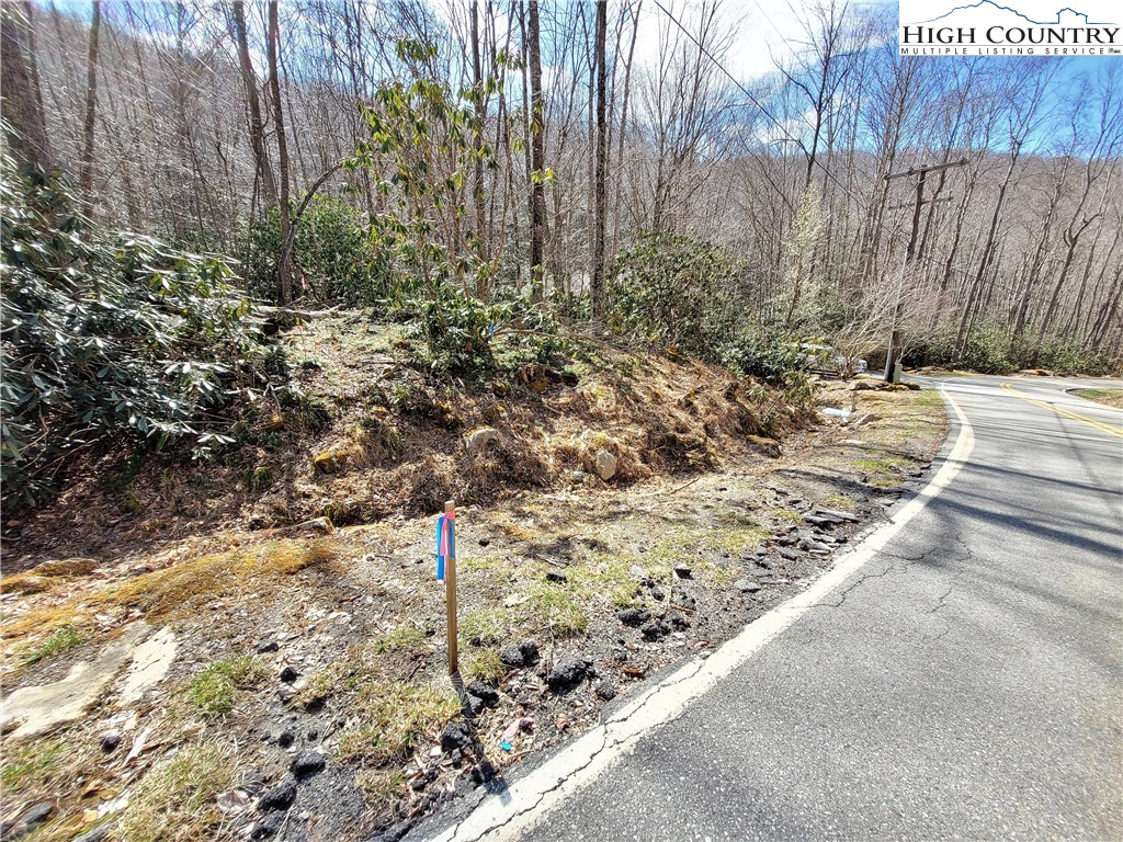 Pinnacle Ridge Beech Mountain, NC 28604 - Photo 3 of 18 a view of a backyard of the house