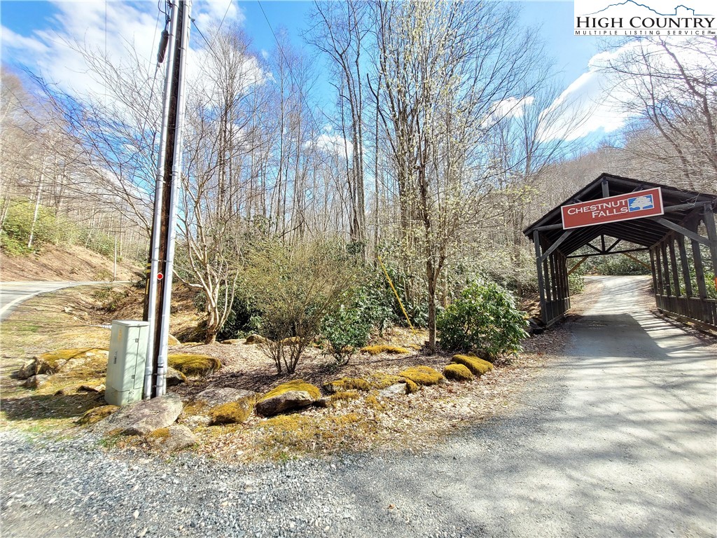 Pinnacle Ridge Beech Mountain, NC 28604 - Photo 4 of 18 a view of a street with large trees