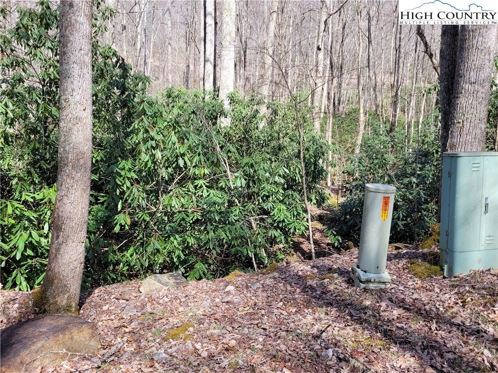 Pinnacle Ridge Beech Mountain, NC 28604 - Photo 7 of 18 a view of a water fountain with large trees