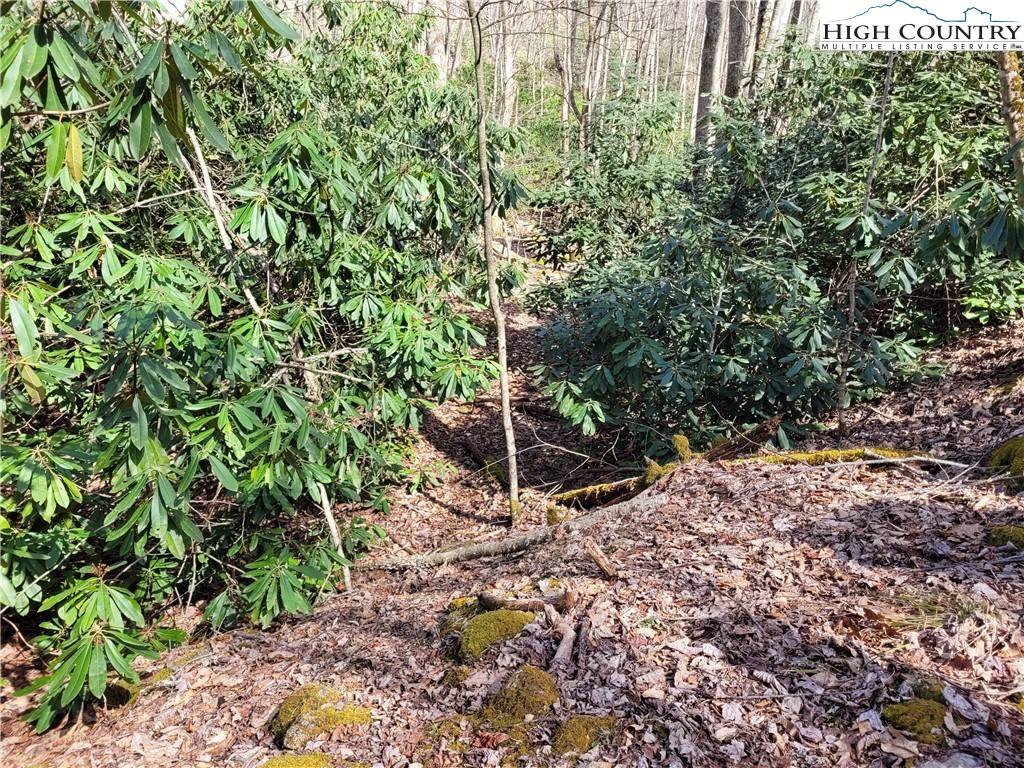 Pinnacle Ridge Beech Mountain, NC 28604 - Photo 8 of 18 a backyard of a house with lots of green space