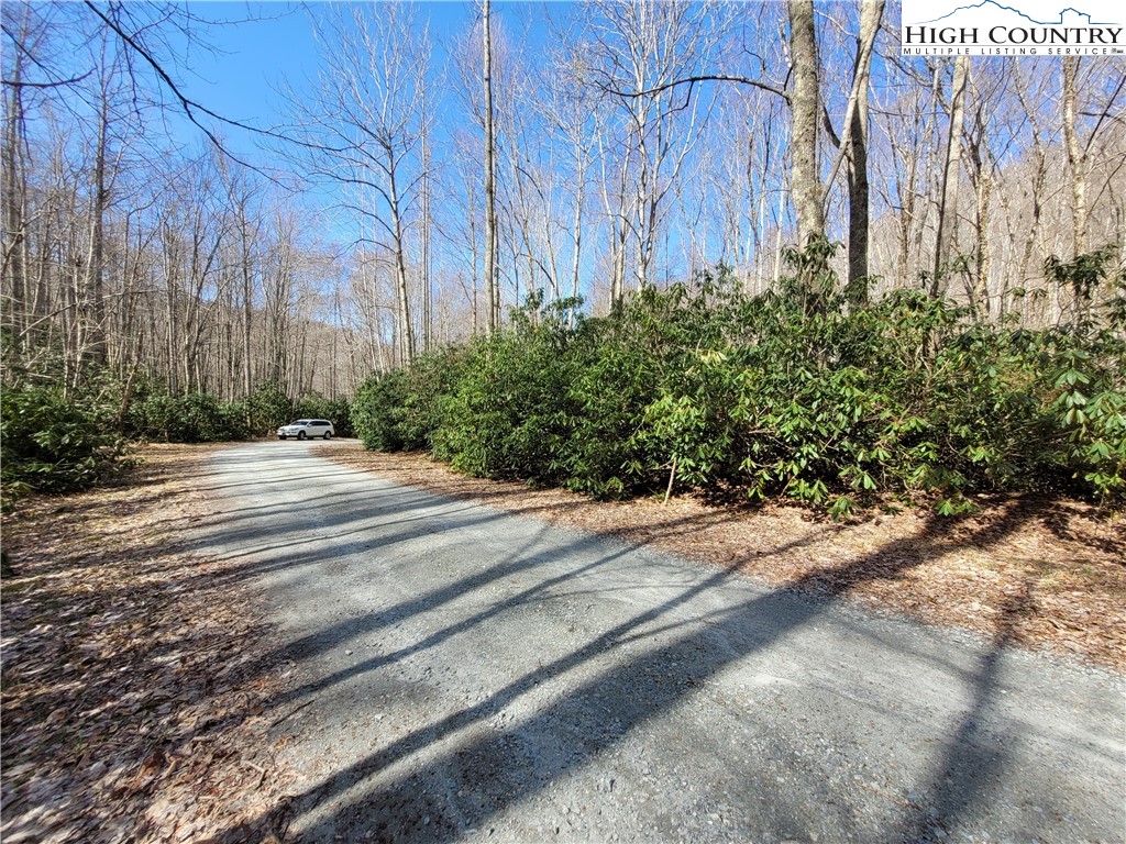 Pinnacle Ridge Beech Mountain, NC 28604 - Photo 9 of 18 a view of backyard with green space