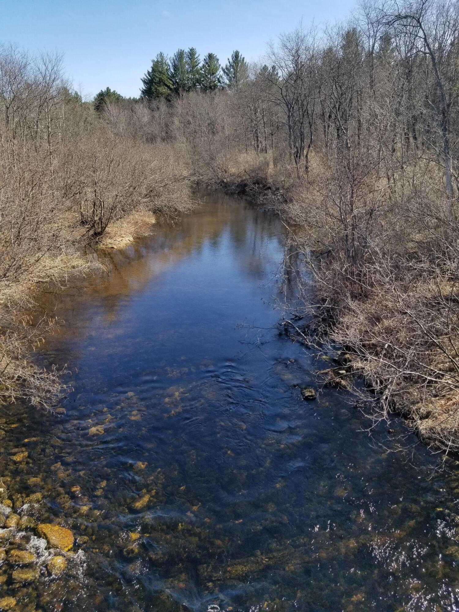 1618 Salem Road Strong, ME 04983 - Photo 6 of 23 Stream looking sout