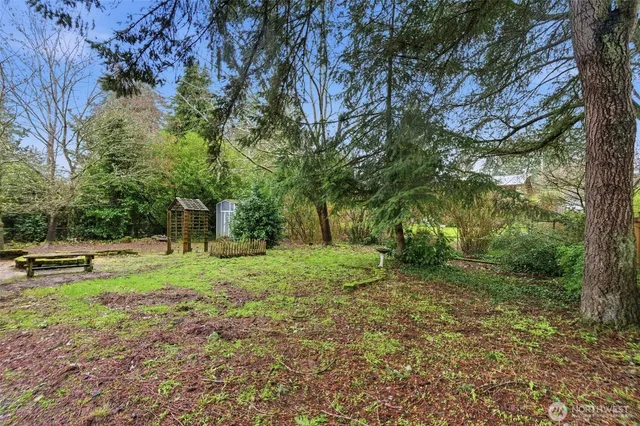 a view of a yard with a tree