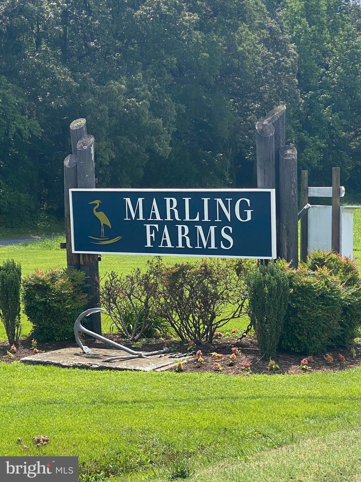 1606 Chester Road Chester, MD 21619 - Photo 55 of 67