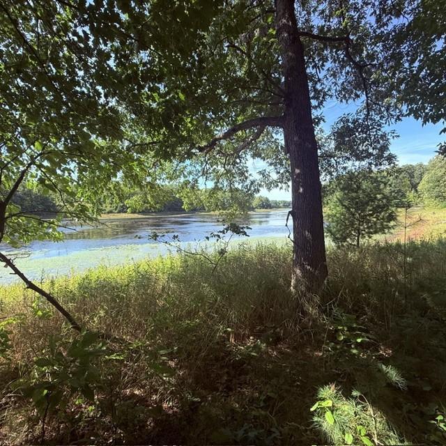 Tbd West Lilja Avenue Shell Lake, WI 54871 - Photo 22 of 23 Gallery Image 22
