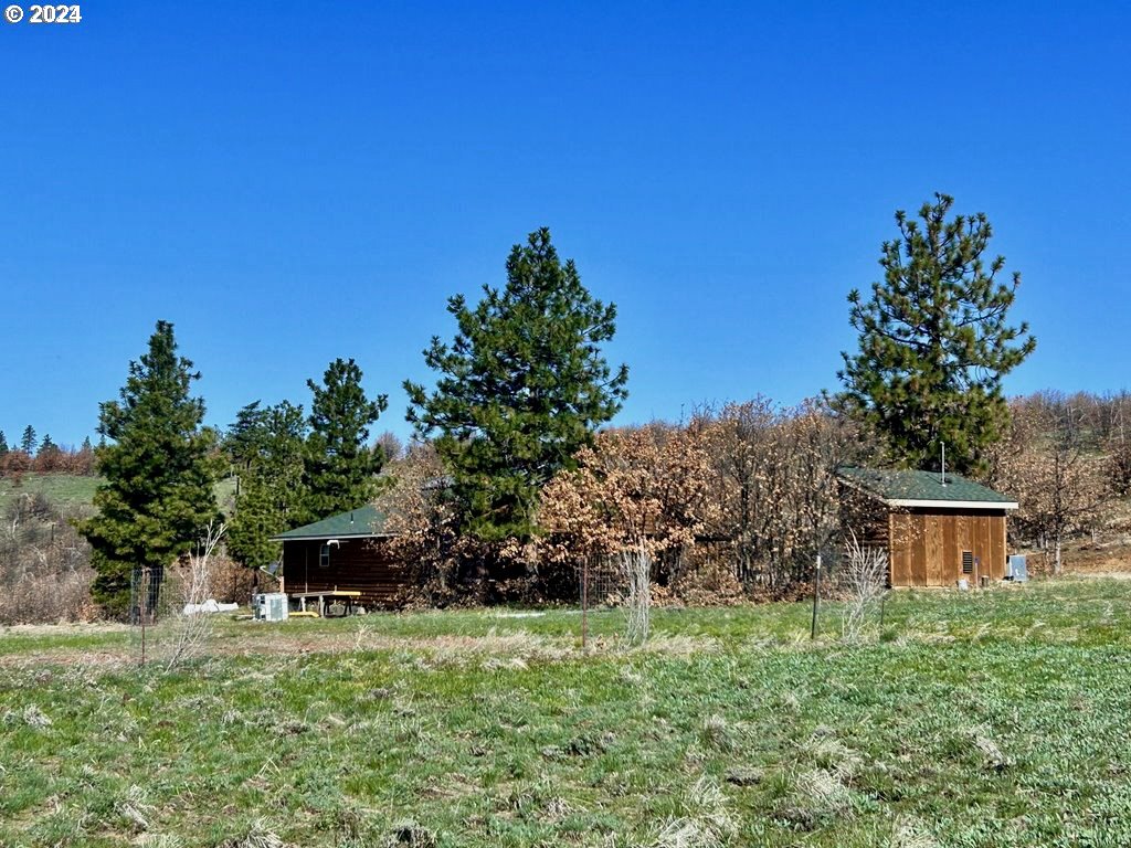 211 Jensen Quarry Road Roosevelt, WA 99356 - Photo 4 of 27 a backyard of a house with lots of green space and tree s