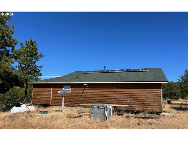 a view of a backyard with a large tree