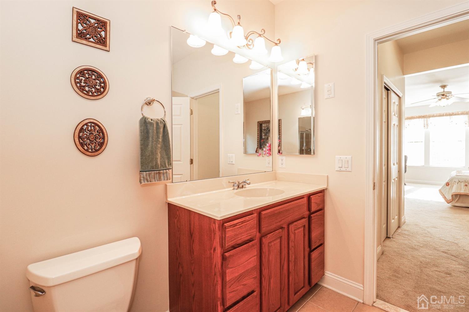 8 Pebble Creek Road Dayton, NJ 08810 - Photo 14 of 19 a bathroom with a sink a toilet and a mirror