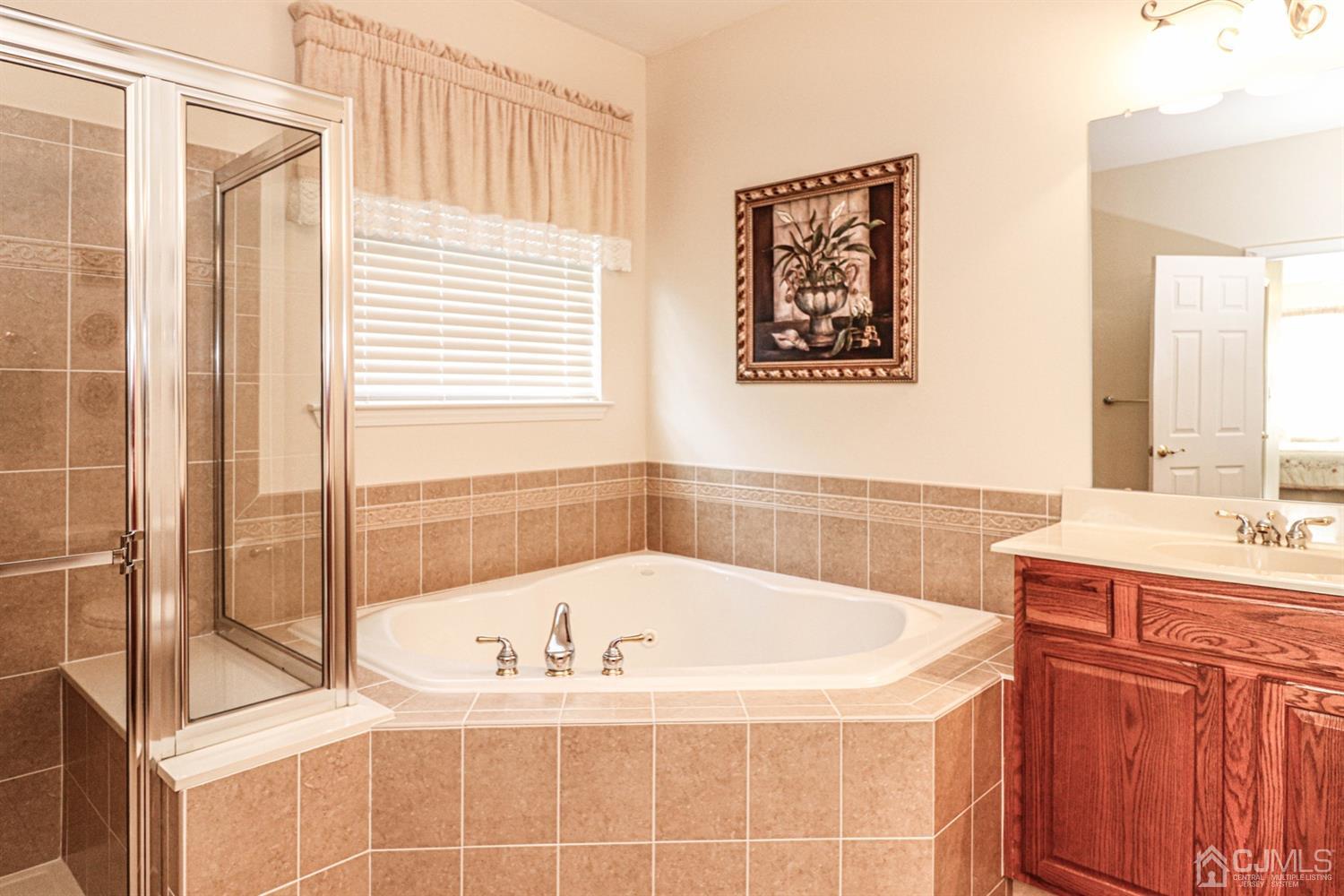 8 Pebble Creek Road Dayton, NJ 08810 - Photo 15 of 19 a bath tub sitting next to a bathroom sink