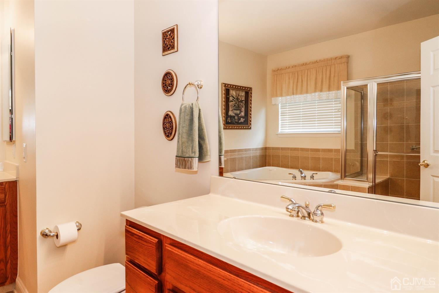 8 Pebble Creek Road Dayton, NJ 08810 - Photo 16 of 19 a bathroom with a sink toilet and shower
