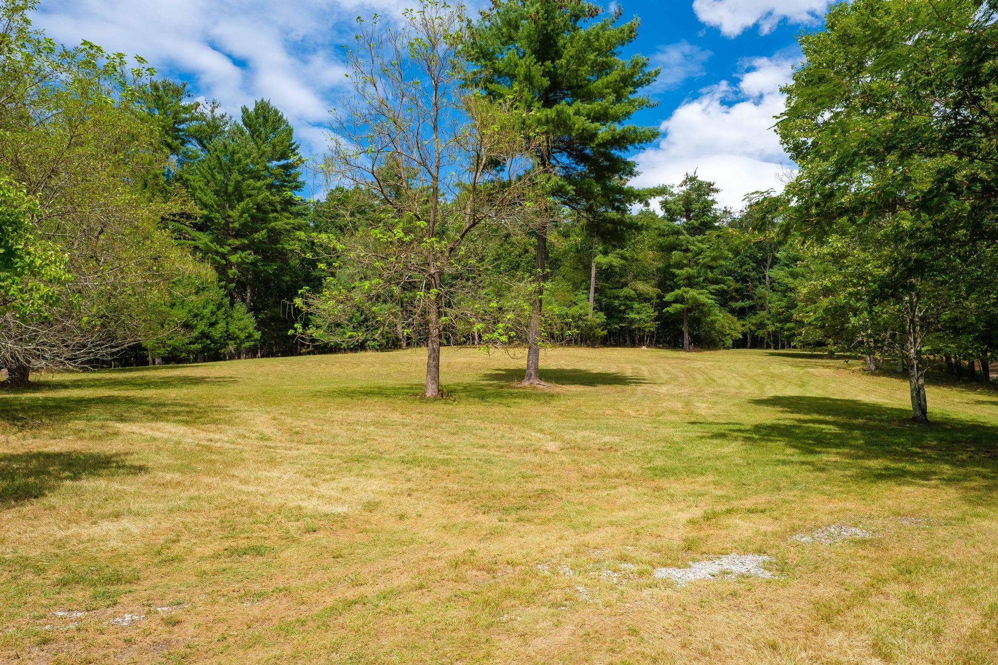 21117 Mine Mountain Road Bergton, VA 22811 - Photo 22 of 22 Gallery Image 22