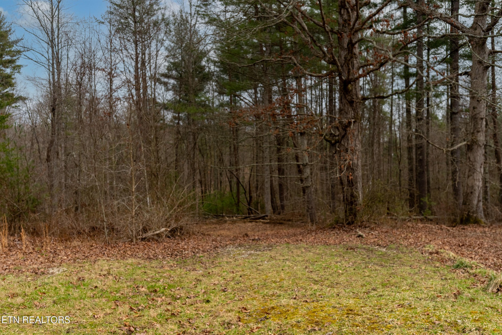 1567 Twin Bridge Road Deer Lodge, TN 37726 - Photo 21 of 26 Gallery Image 21