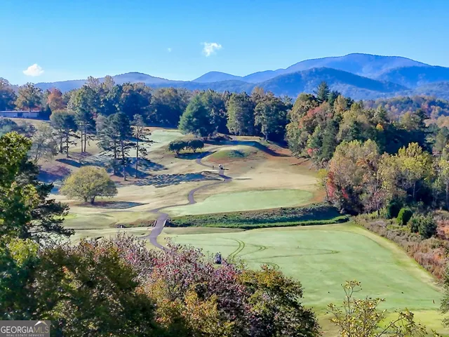 a view of a backyard with a garden and mountain view