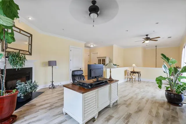 a living room with furniture and a potted plant